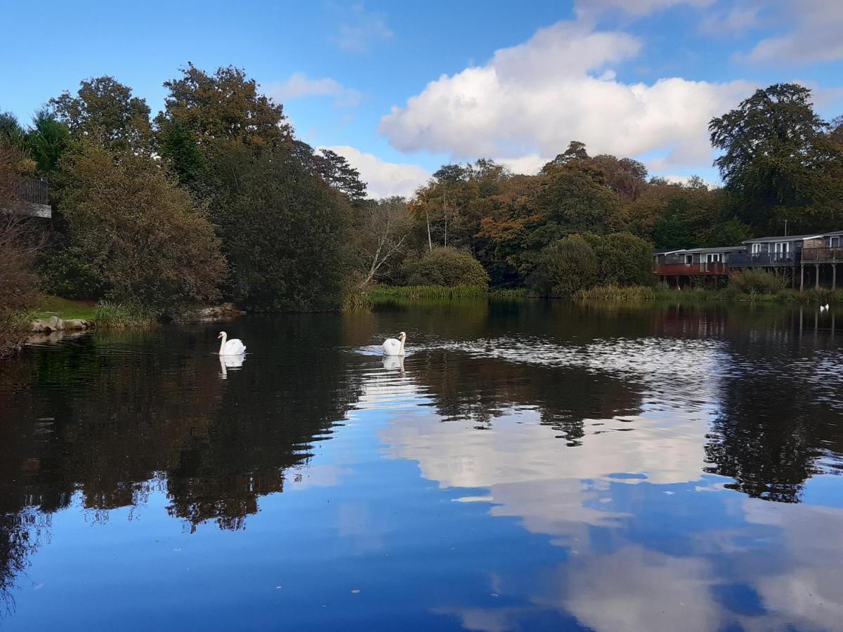 176 Glan Gwna Park Caernarfon *