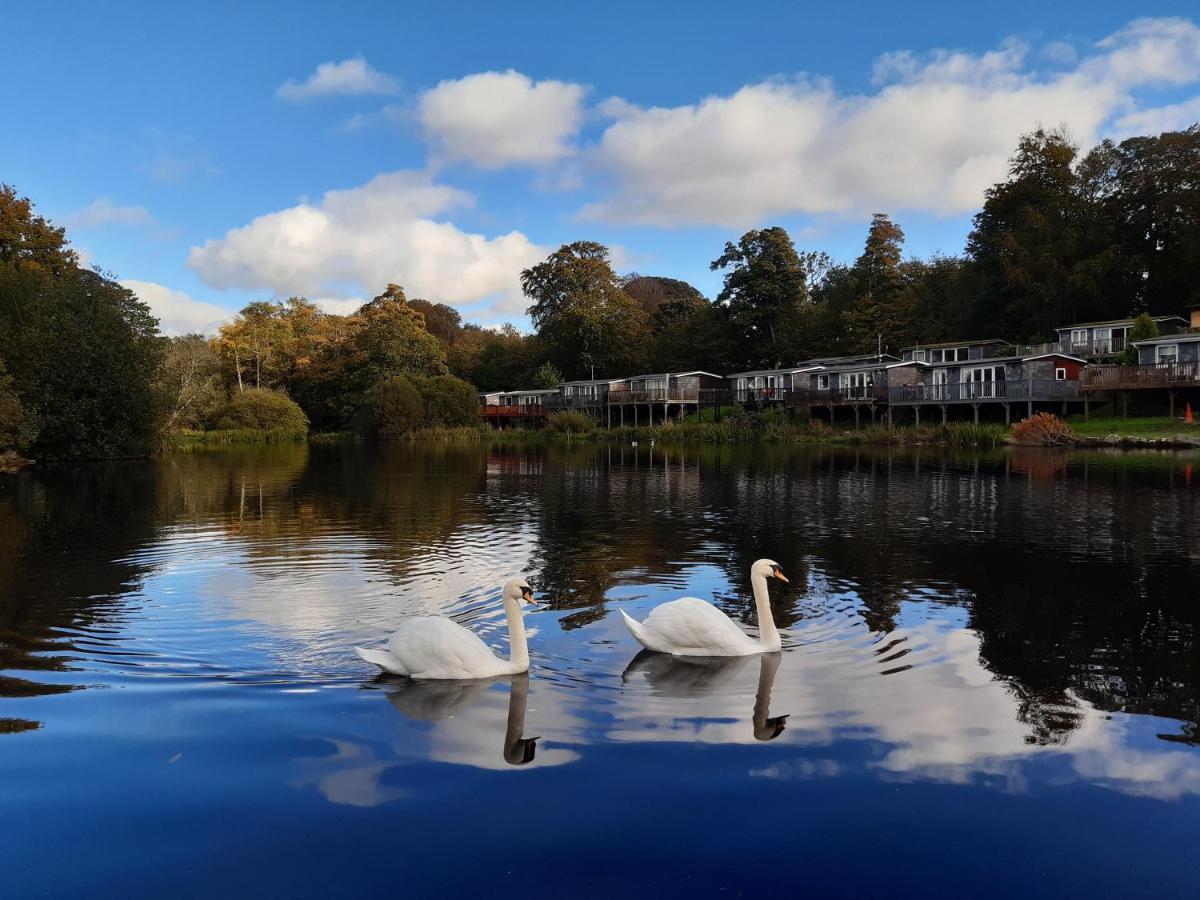 Chalet 176 Glan Gwna Park Caernarfon Caeathro